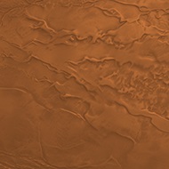 Ancient Amber